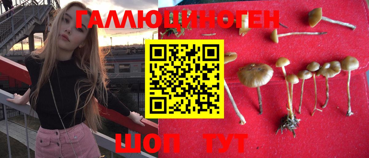 Приморско-Ахтарск  Галлюциногенные грибы GOLDEN TEACHER  Вход с VPN 