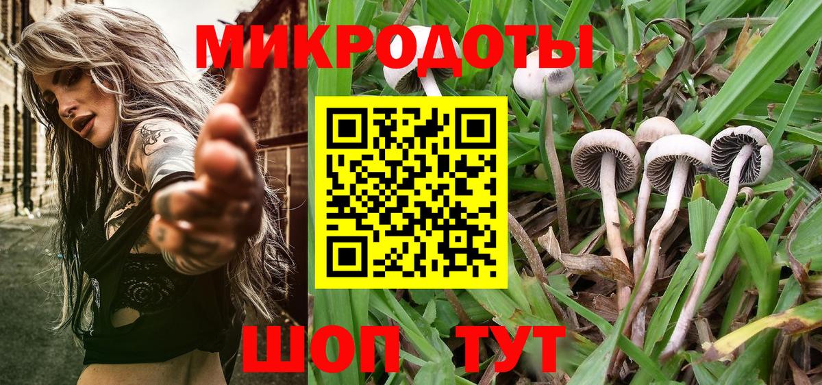 Псилоцибиновые грибы ЛСД Приморско-Ахтарск